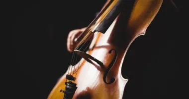 Koncert „Dar i tajemnica. Powołanie”